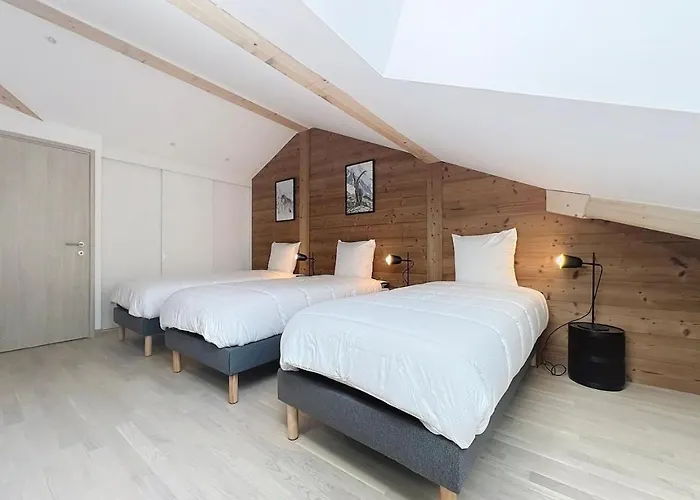 Large New Duplex, 10 People Mountain View & Terrace *